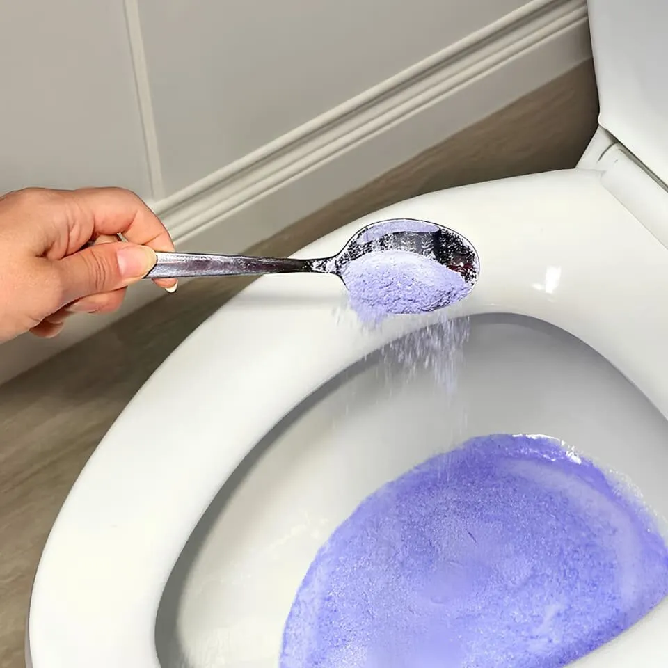FizzClean foam action sparkling clean toilet in 20 minutes